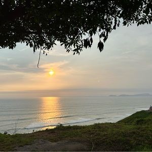 Meet your Posher, Joan